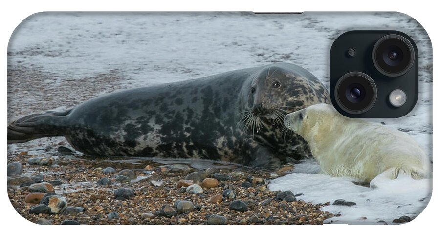 Grey Seal iPhone Case featuring the photograph And This is the Sea... by Wendy Cooper