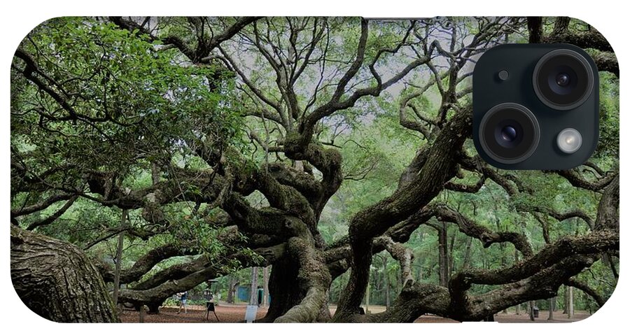 #fineartamerica #photography #images #prints #art #wallart #artist #artwork #homedecoration #framed #acrylic #homedecor #posters #coffeemug #canvasprints #fineartamericaartist #greetingcards #mug #homedecorating #phonecases #tapestries #gregweissphotographyart #grooverstudios iPhone Case featuring the photograph Angel Oak #5 by Groover Studios