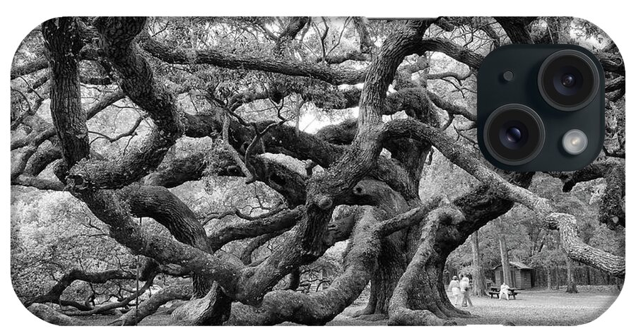 Angel Oak Tree iPhone Case featuring the photograph Angel Oak Tree by Louis Dallara