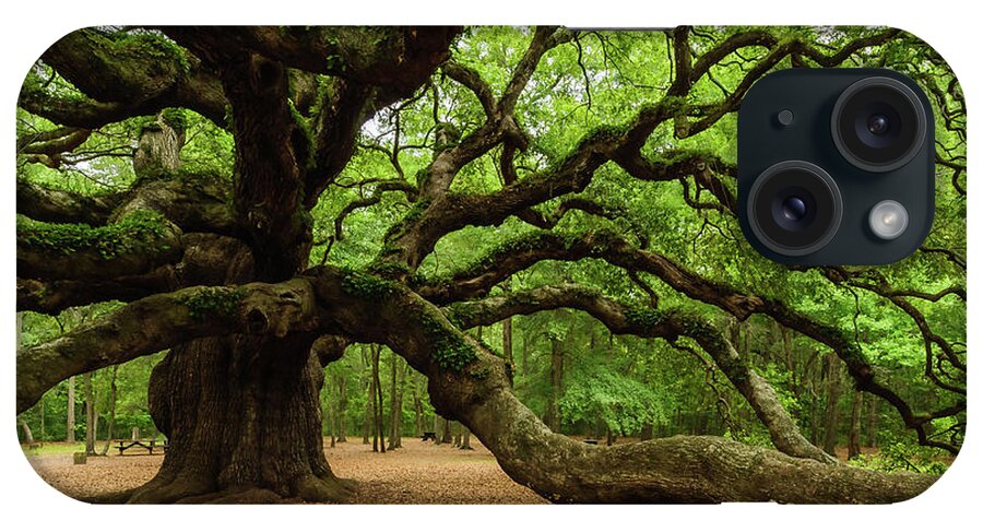 Angel iPhone Case featuring the photograph Angel Oak's tree Longest branch by Louis Dallara