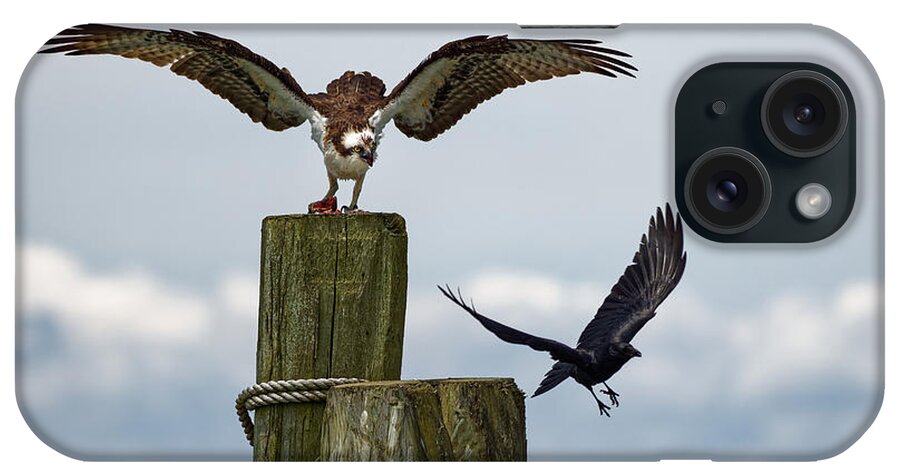 Osprey iPhone Case featuring the photograph Angry Raptor by Ken Fullerton