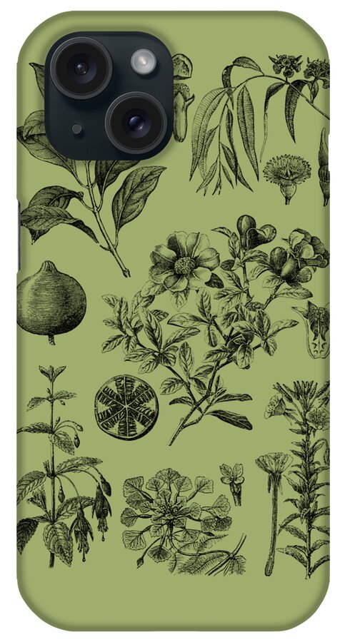 Fruit iPhone Case featuring the digital art Antique Botanical Decor by Madame Memento