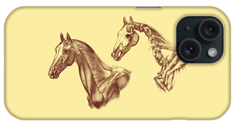 Horse iPhone Case featuring the digital art Antique Horses Decor by Madame Memento