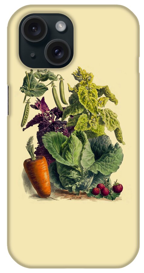 Vegetables iPhone Case featuring the digital art Antique Kitchen Illustration by Madame Memento