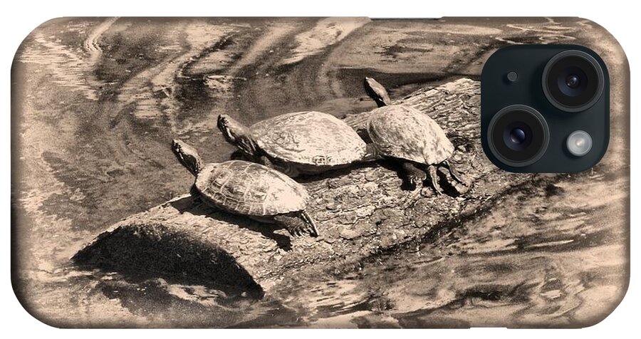 Turtle iPhone Case featuring the mixed media Antique Turtles by Christopher Reed
