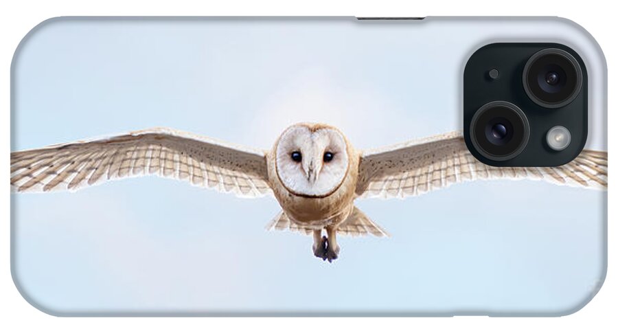 Animal iPhone Case featuring the photograph Approach by Alice Cahill