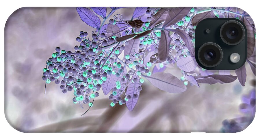 Tree iPhone Case featuring the photograph Aqua Berries on Purple by Missy Joy