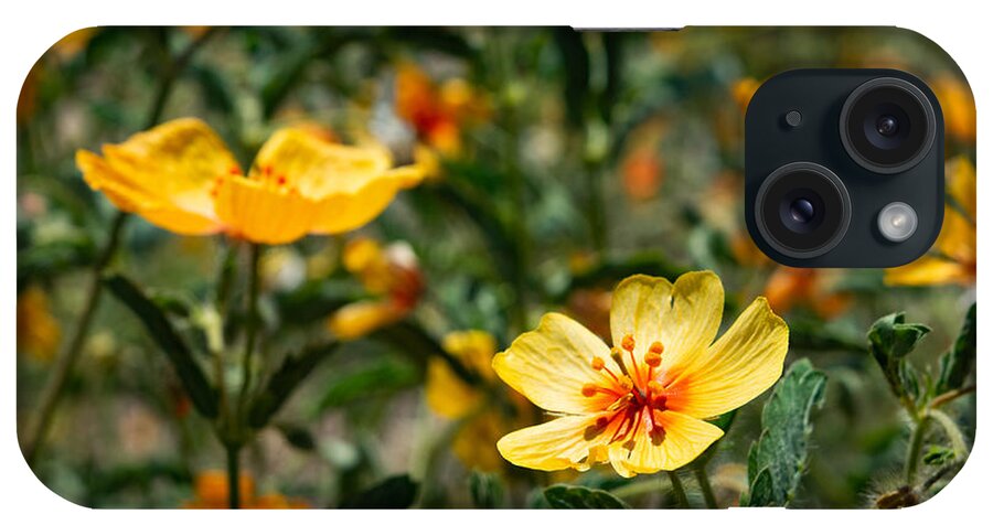Summer iPhone Case featuring the photograph Arizona Poppies by Bonny Puckett