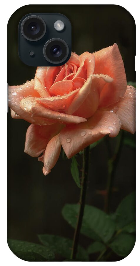 Roses iPhone Case featuring the photograph Arizona Sunset Rose by Elaine Malott