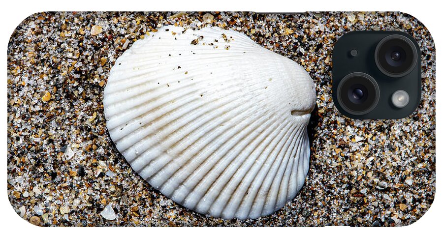 Shell iPhone Case featuring the photograph Ark Clam Shell by Blair Damson