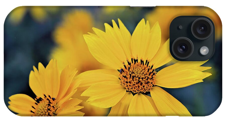 Arnica iPhone Case featuring the photograph Arnica Flowers by Bob Falcone