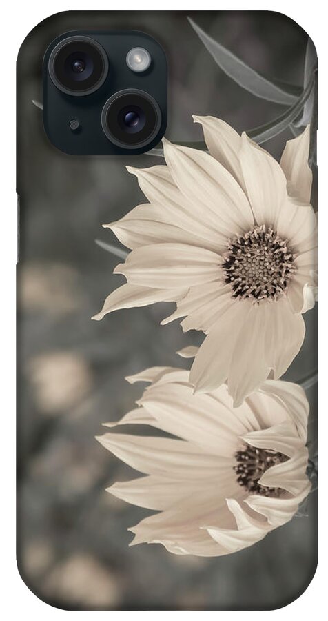 Sunflower iPhone Case featuring the photograph Windblown Wild Sunflowers by Patti Deters