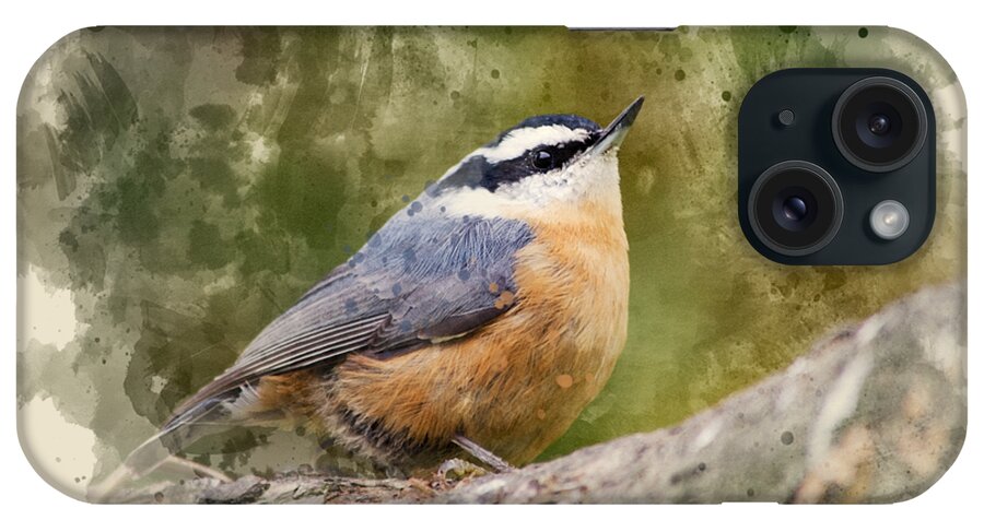 Nuthatch iPhone Case featuring the mixed media Nuthatch Watercolor Art by Christina Rollo