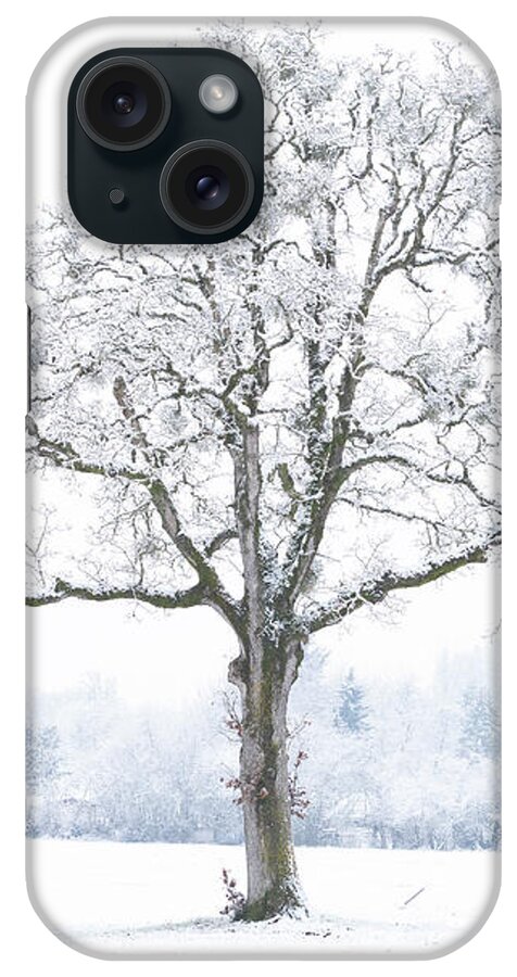 One iPhone Case featuring the photograph Snow Tree by Catherine Avilez