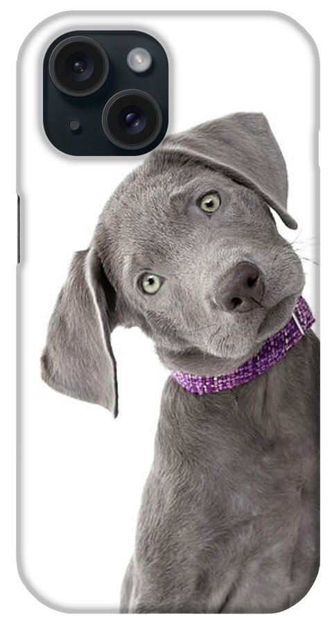 Dog iPhone Case featuring the photograph Silver Lab Puppy Joy by Renee Spade Photography