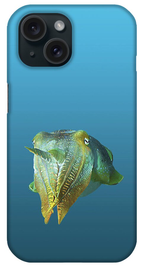 Sepia iPhone Case featuring the mixed media Sepia - Magnificent portraiture of cuttlefish on gradient blue - by Ute Niemann