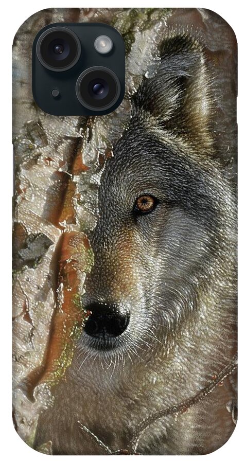Wolf Art iPhone Case featuring the painting Close Encounter Wolf by Collin Bogle
