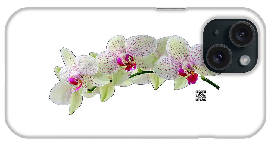 Orchids iPhone Case featuring the mixed media As Delicate as You by Rafael Salazar