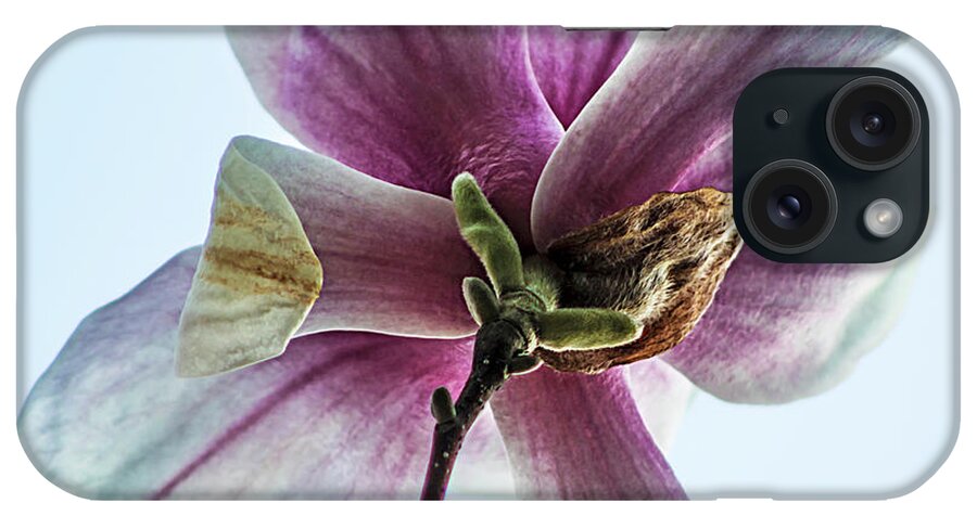 Magnolia iPhone Case featuring the photograph Ascension by Jerry LoFaro