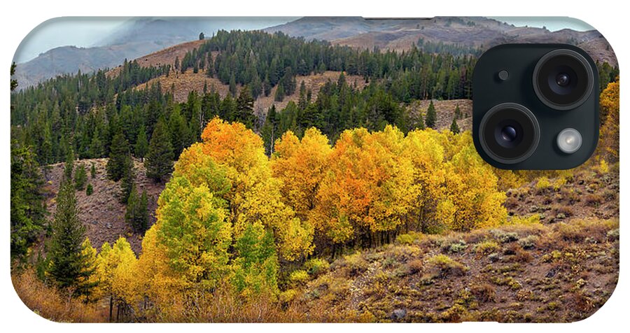 Fall-colors iPhone Case featuring the photograph Aspen Colors by Gary Johnson