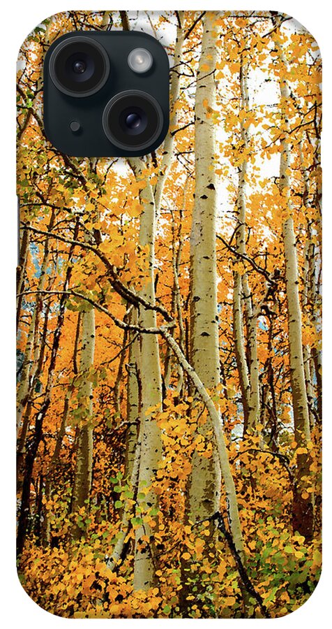 Aspens iPhone Case featuring the photograph Aspen Grove by Timothy Bulone