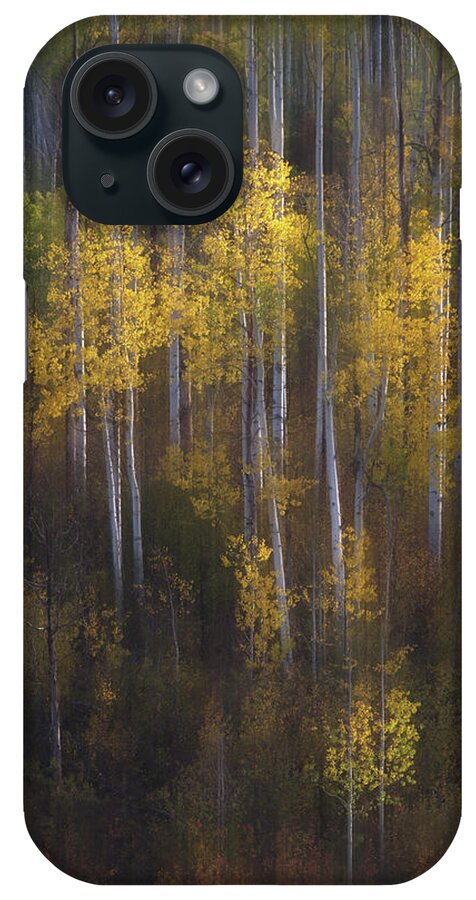 Colorado iPhone Case featuring the photograph Aspen Impressions on Kebler Pass by Kristen Wilkinson