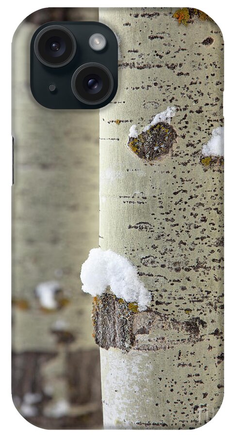 Aspen Tree iPhone Case featuring the photograph Aspen Tree and Snow by Dustin K Ryan