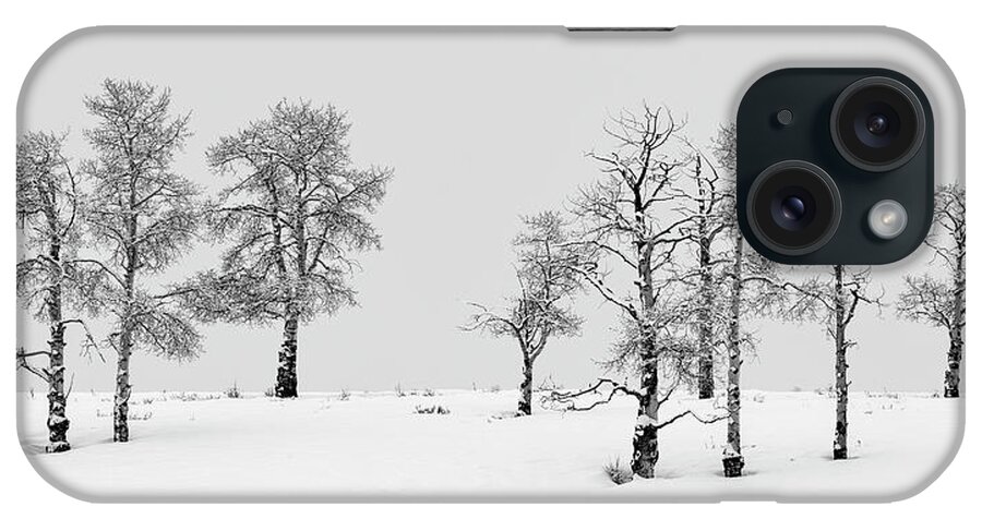 Winter iPhone Case featuring the photograph Aspen Tree Line-up by Denise Bush