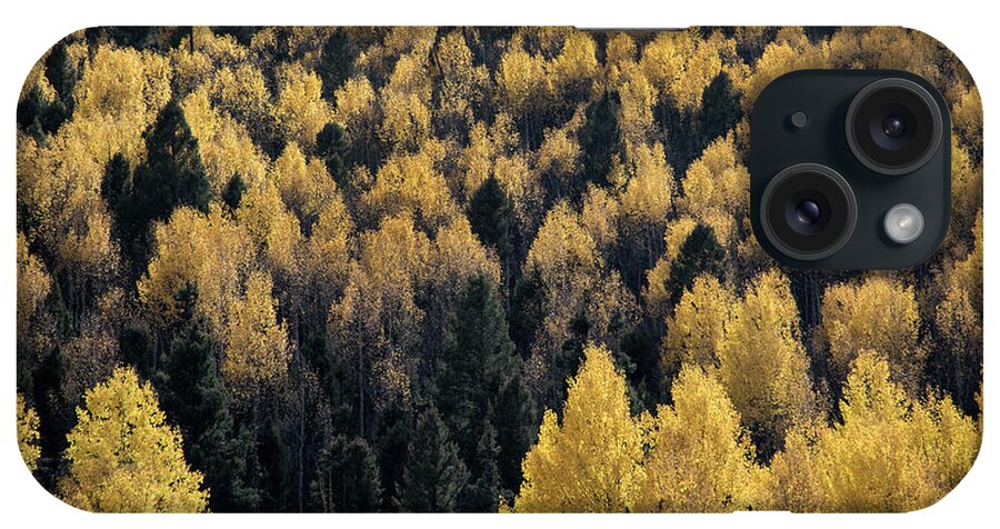 Aspen iPhone Case featuring the photograph Aspens In Cabresto Canyon by Ron Weathers