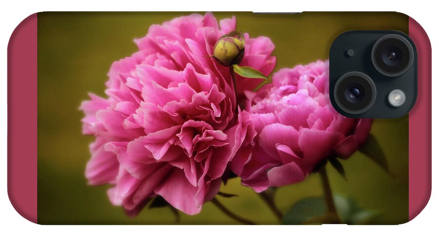 Peony iPhone Case featuring the photograph At First Blush by Jessica Jenney