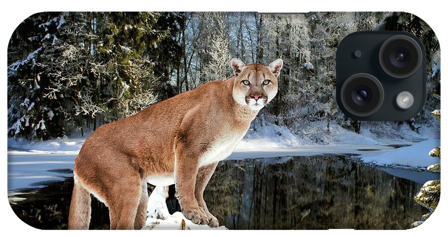 Cougar iPhone Case featuring the digital art At Home in the Forest by Norman Brule