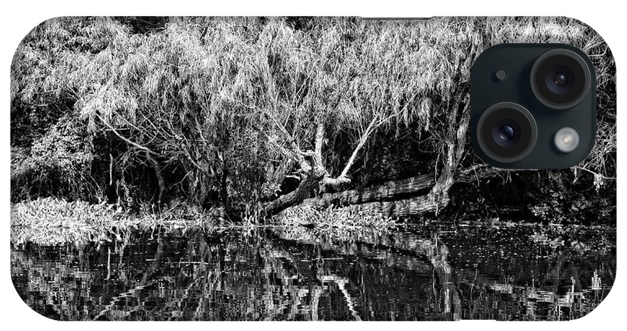 Tree iPhone Case featuring the photograph Atchafalaya Basin Southern Louisiana 2021 BW 18 by Maggy Marsh