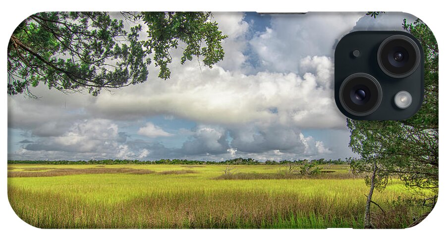 Wetlands iPhone Case featuring the photograph Atlantic Beach Wetlands - Fort Macon State Park by Bob Decker