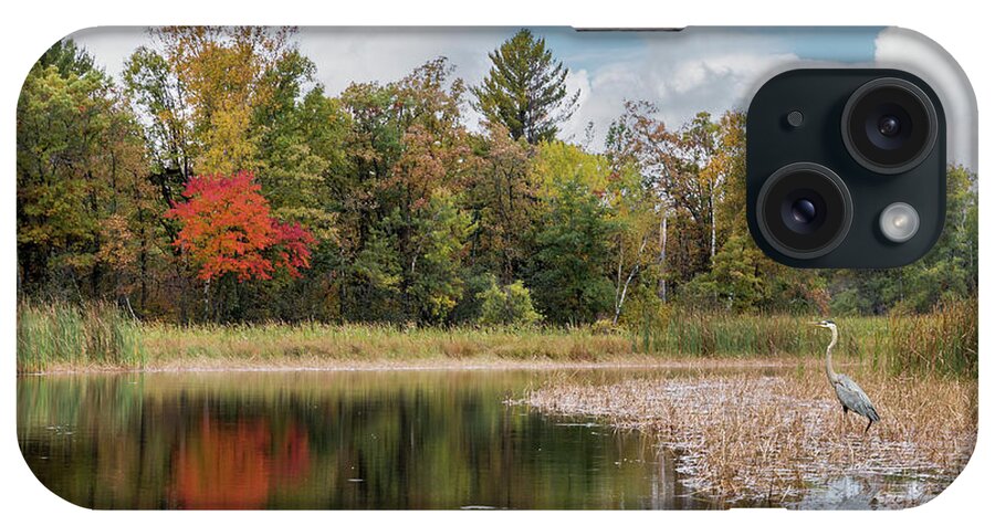 Autumn iPhone Case featuring the photograph Autumn Blue Heron by Patti Deters