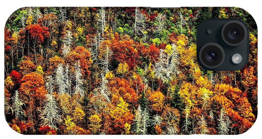 Autumn iPhone Case featuring the photograph Autumn Diversity by Allen Nice-Webb