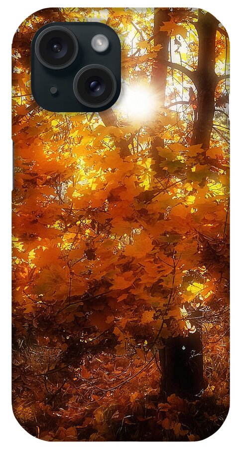Autumn iPhone Case featuring the photograph Autumn Fire by Linda McRae