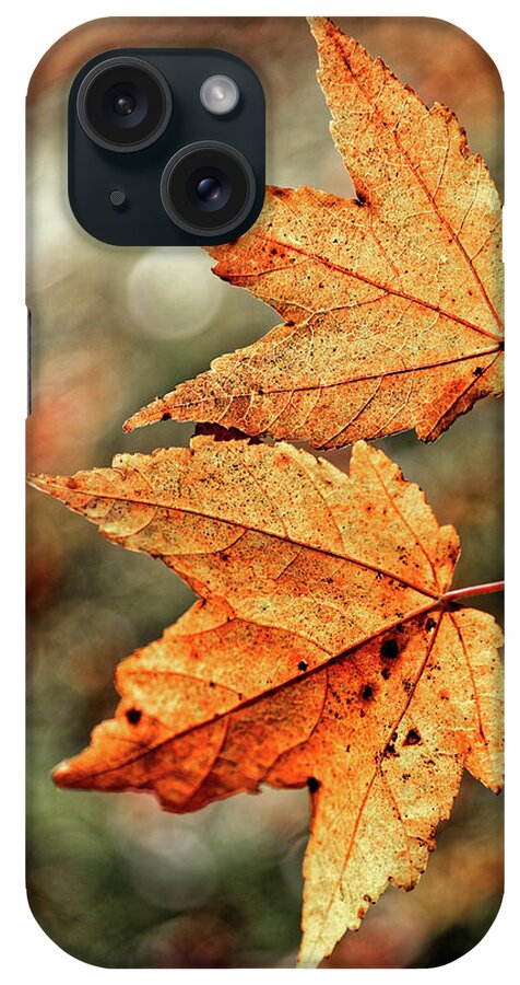 Autumn Leaves Duo iPhone Case featuring the photograph Autumn Leaves Duo by Doolittle Photography and Art