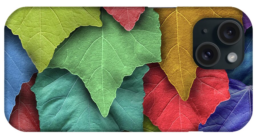 Leaves iPhone Case featuring the photograph Autumn by Mehran Akhzari
