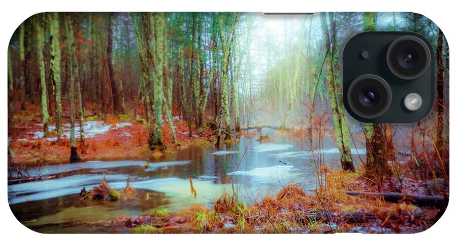 Winter Wonders iPhone Case featuring the photograph Autumn morning by Lilia S