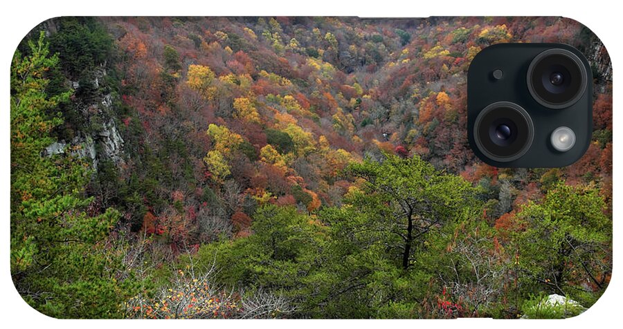 Canyon iPhone Case featuring the photograph Autumn Mountain View by George Taylor