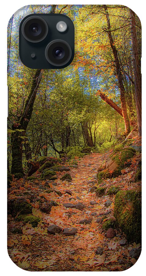 Hiking iPhone Case featuring the photograph Autumn on the Trail by Mike Lee