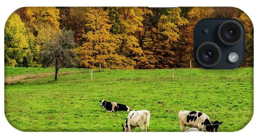 New York iPhone Case featuring the photograph Autumn Pastures by Cathy Kovarik