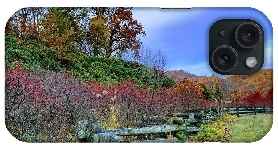 Autumn iPhone Case featuring the photograph Autumn Still by Allen Nice-Webb