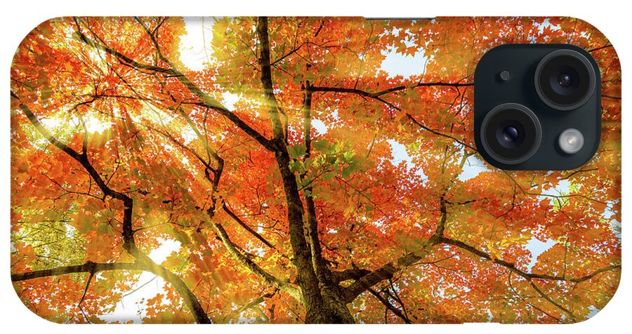 Michigan iPhone Case featuring the photograph Autumn Sun Rays by Sebastian Musial