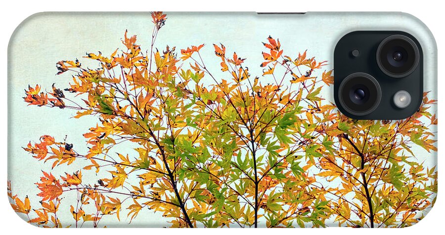 Tree iPhone Case featuring the photograph Autumn Tree Top by Gary Slawsky