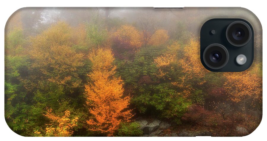 Fall iPhone Case featuring the photograph Autumn Trees in Foggy Cliffs by Dan Carmichael