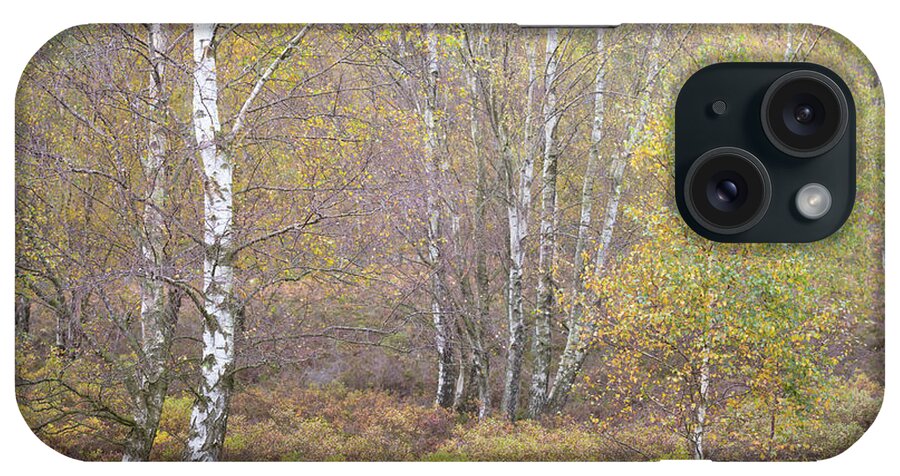 Autumn iPhone Case featuring the photograph Autumn with bilberries, bracken and silver birch trees by Anita Nicholson