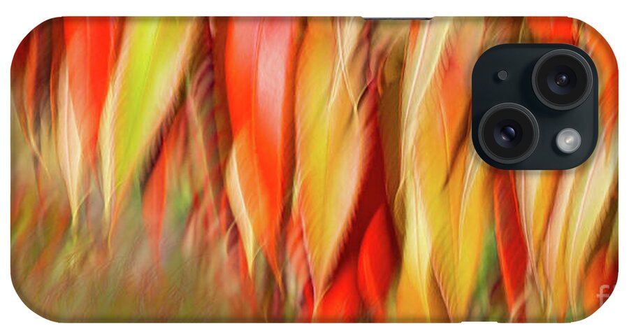  iPhone Case featuring the photograph Autumns Feathers of Fire by Marilyn Cornwell
