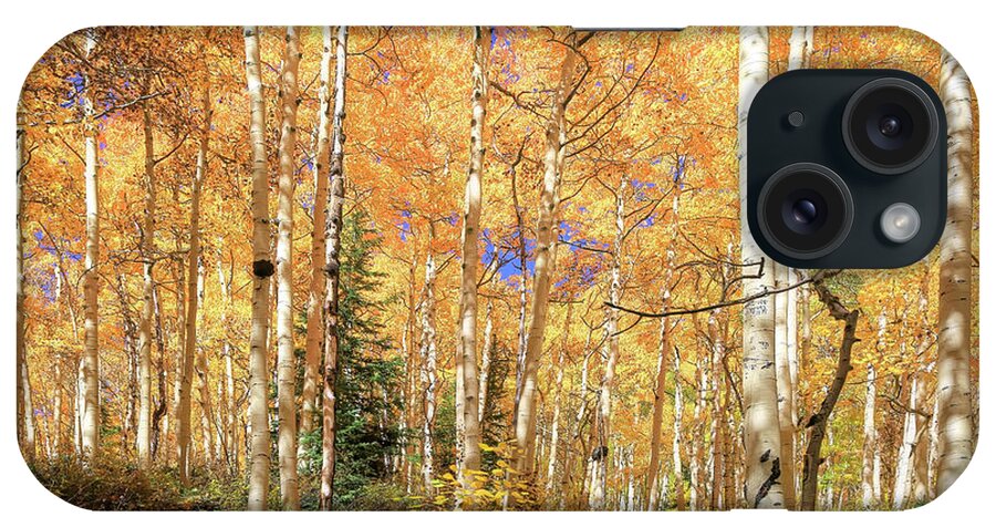 Ouray iPhone Case featuring the photograph Autumns Second Spring by Donna Kennedy