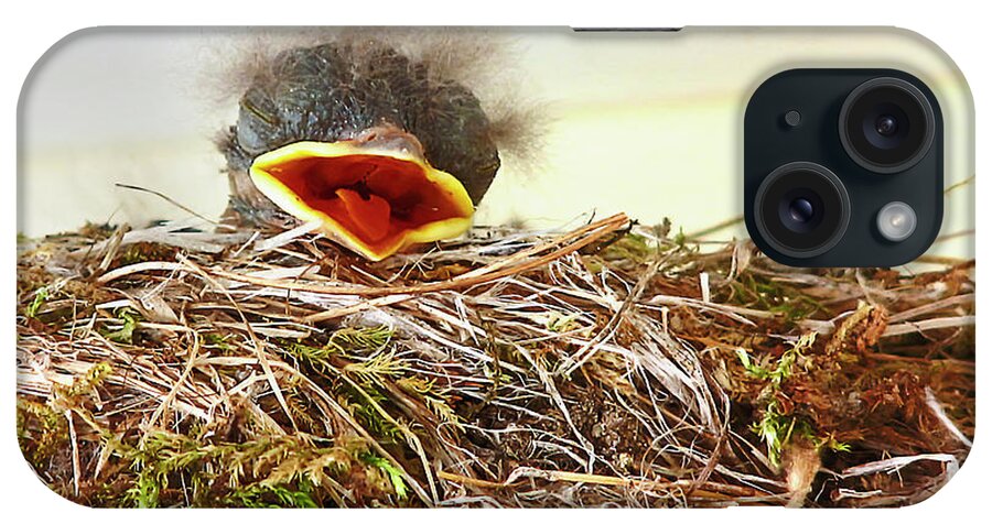 Bird iPhone Case featuring the photograph Baby Bird by Natalie Rotman Cote